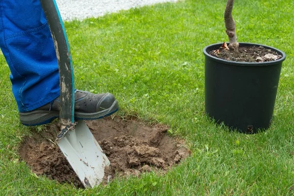Person hebt mit Spaten Erde aus
